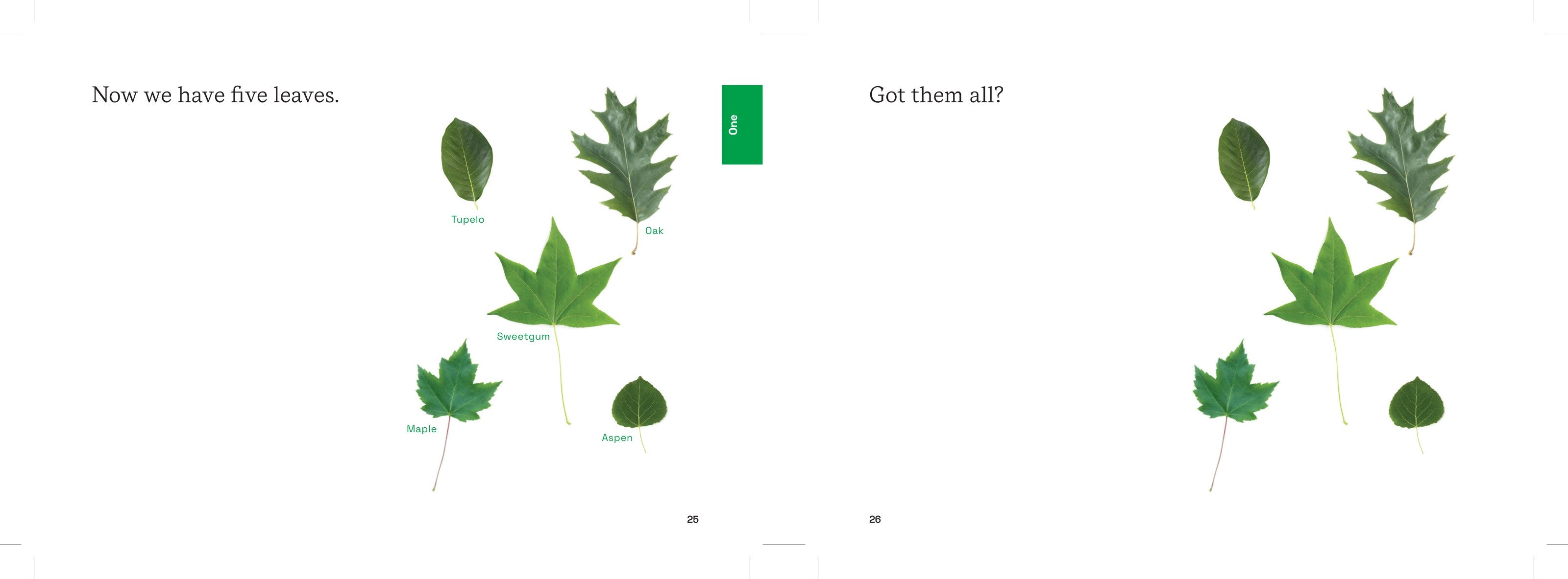 Stikky Trees Stikky books