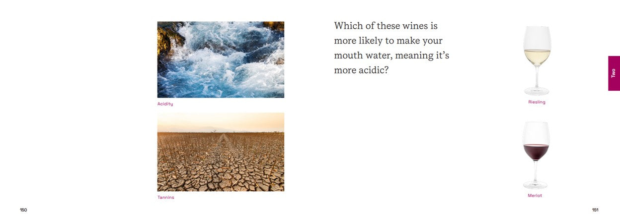 Stikky Wine Stikky books