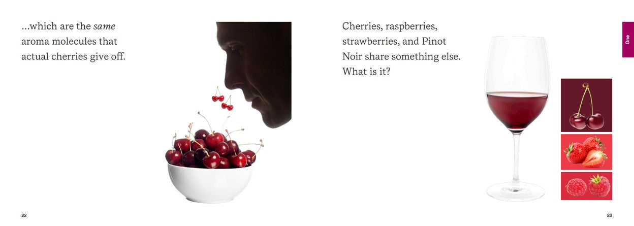 Stikky Wine Stikky books